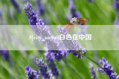 大丰白色在中国