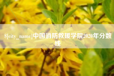 大丰中国消防救援学院2020年分数线