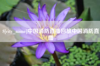 大丰中国消防直播回放中国消防直播