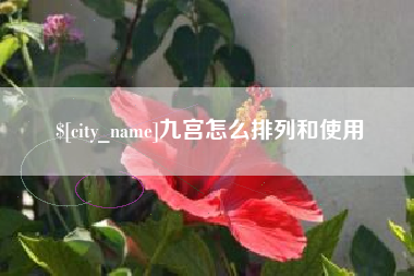 大丰九宫怎么排列和使用