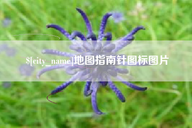 大丰地图指南针图标图片
