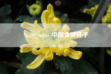 大丰中国金牌样子