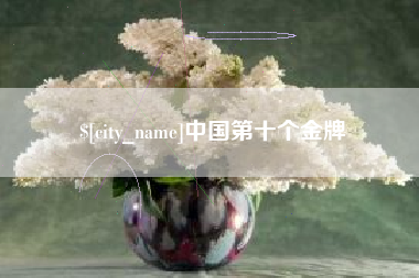 大丰中国第十个金牌