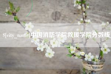 大丰中国消防学院救援学院分数线