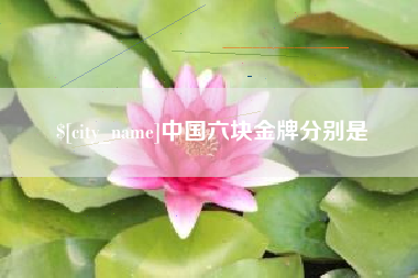 大丰中国六块金牌分别是