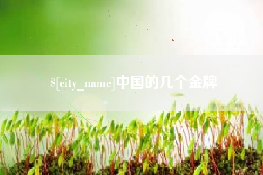 大丰中国的几个金牌
