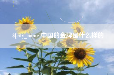 大丰中国的金牌是什么样的