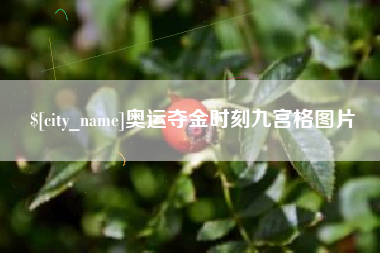大丰奥运夺金时刻九宫格图片