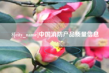 大丰中国消防产品质量信息