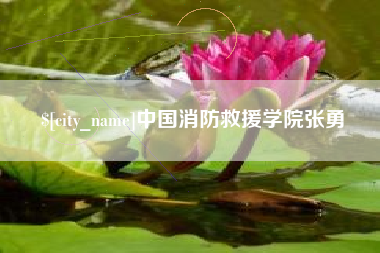 大丰中国消防救援学院张勇