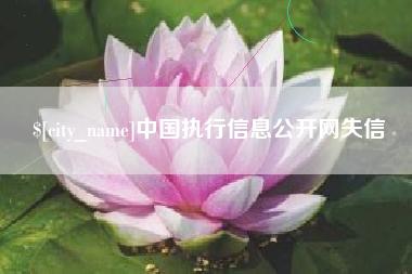 大丰中国执行信息公开网失信