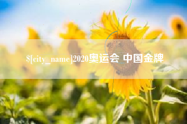 大丰2020奥运会 中国金牌