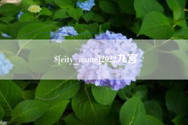 大丰2022九宫