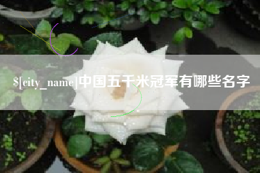 大丰中国五千米冠军有哪些名字