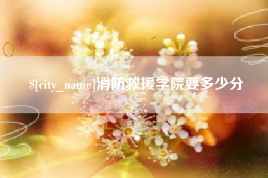 大丰消防救援学院要多少分