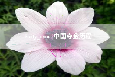 大丰中国夺金历程