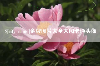 大丰金牌图片大全大图卡通头像
