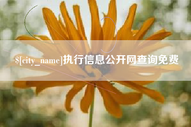 大丰执行信息公开网查询免费