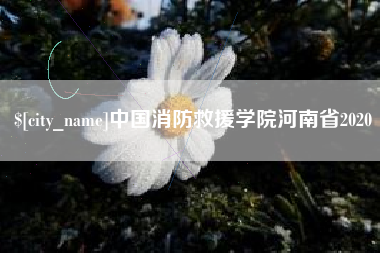 大丰中国消防救援学院河南省2020